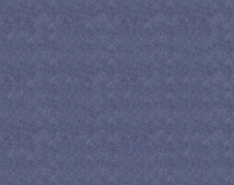 [1001111157_27] Flotex Colour у рулоні - s290022 Calgary condor